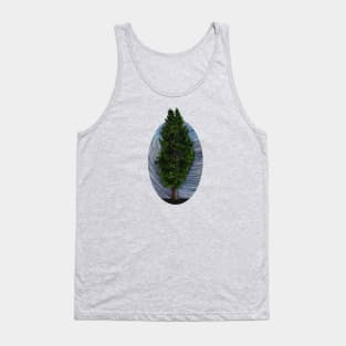 Cedar Tree in morning fog Tank Top